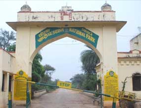 sariska gate