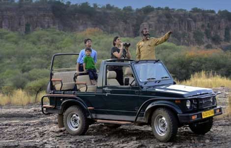 sariska-jeep 